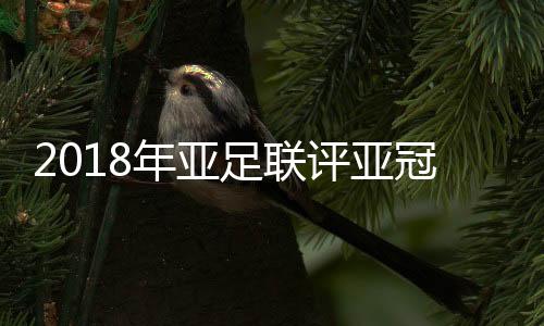 亚足联官方发起了一项投票