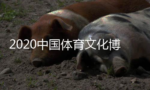 体育高效的文化服务