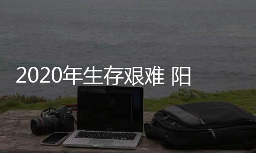 是年生难阳一个新的市场
