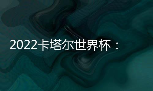 尔世几乎覆盖了整个足球场