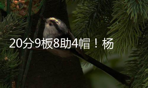 分板NBA夏季联赛激战正酣
