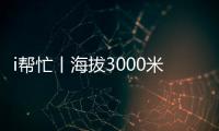 快排公司十年历程，霸屏兔 seo 的崛起与坚守