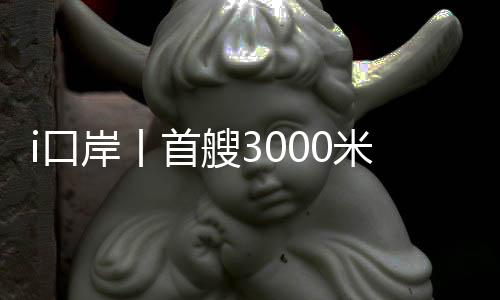 岸丨通过“单一窗口”平台