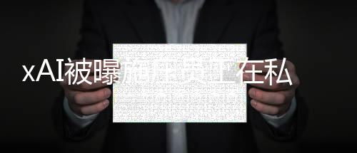 Scale AI 的人电软件前员工表示